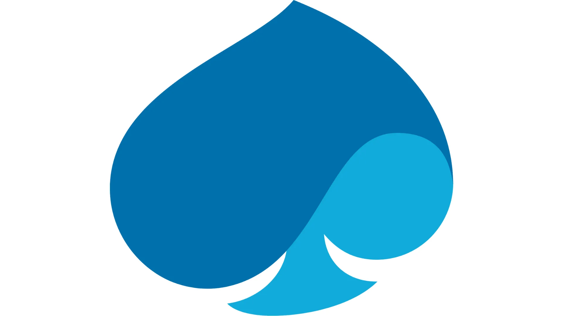 Logo Capgemini